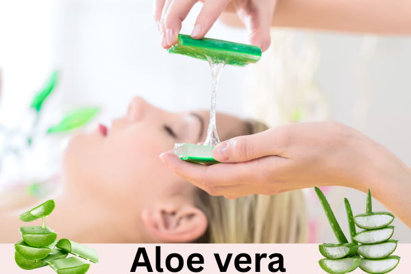 Aloe Vera Treatment