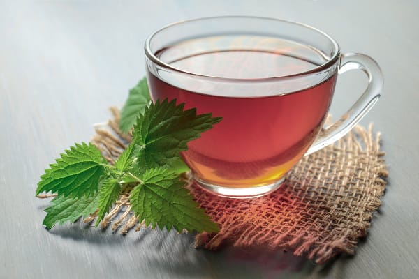 Role of Diet in Reducing Belly Fat