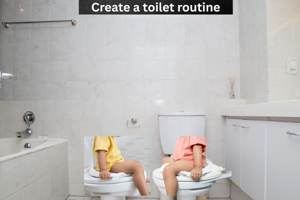 Create a toilet routine.